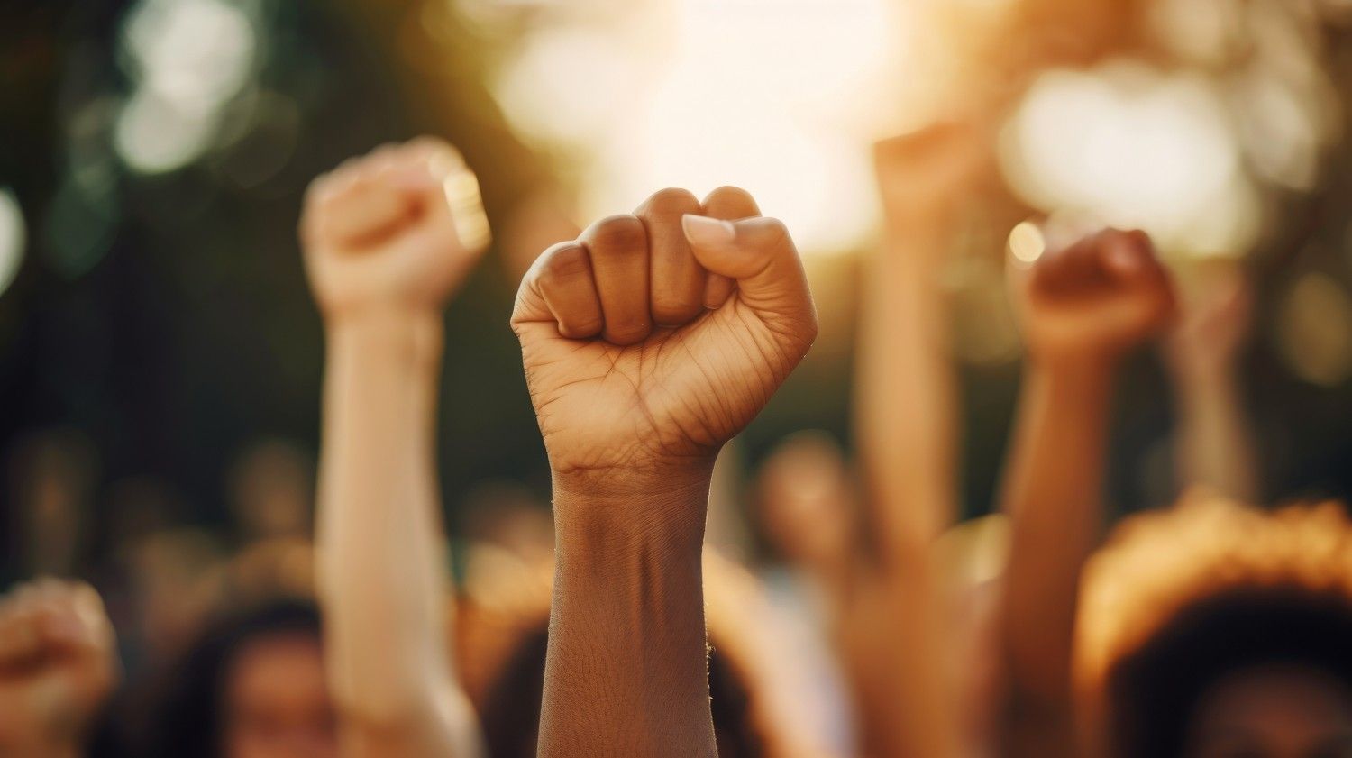 Community Rights Workshop Series